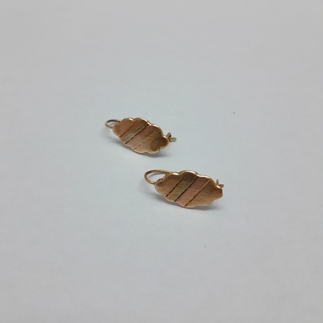 ARETES PAR. ORO. 8 K 1 GRMS (SEMINUEVO)