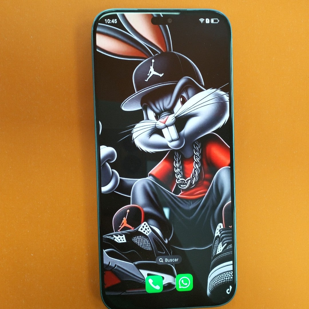 CELULAR HONOR X8B LLY-LX3 (2023) 512 GB 8 GB RAM (SEMINUEVO)