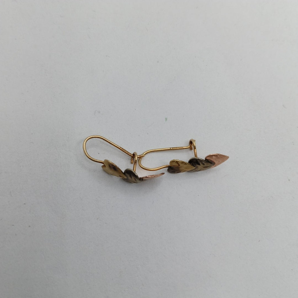 ARETES PAR. ORO. 10 K 1 GRMS (SEMINUEVO)