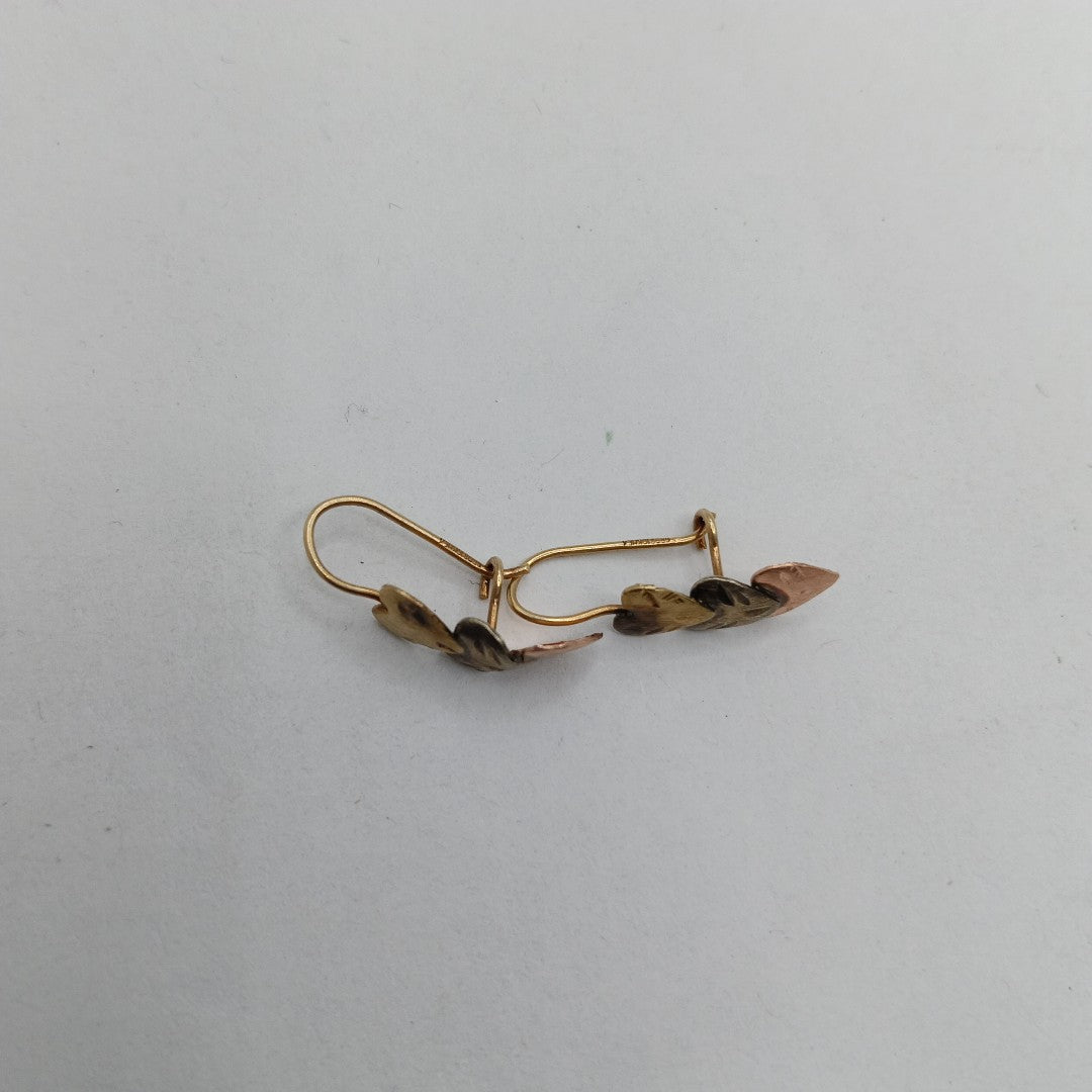 ARETES PAR. ORO. 10 K 1 GRMS (SEMINUEVO)
