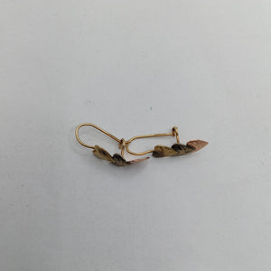 ARETES PAR. ORO. 10 K 1 GRMS (SEMINUEVO)