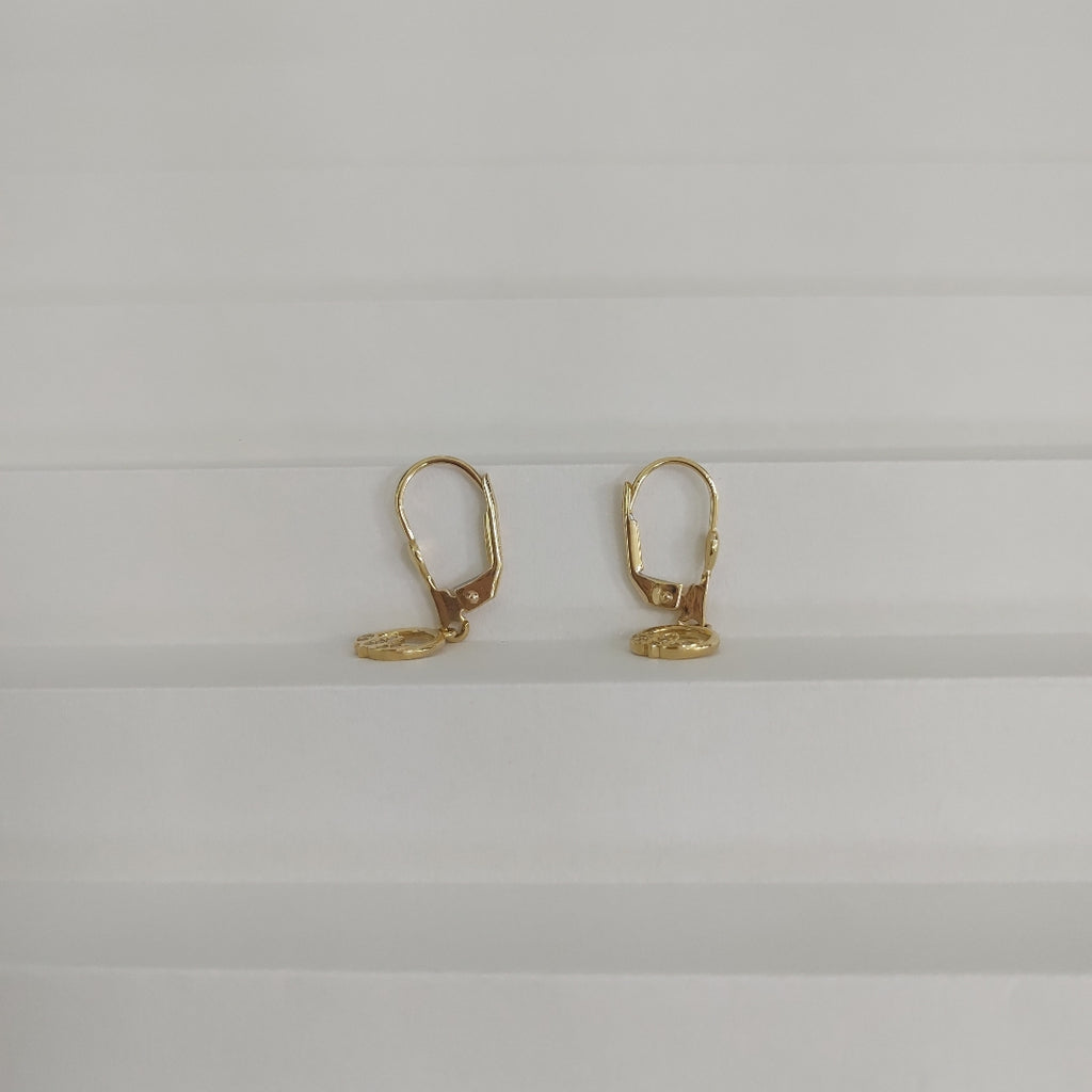BROQUELES ORO 14K 2 (NUEVO)