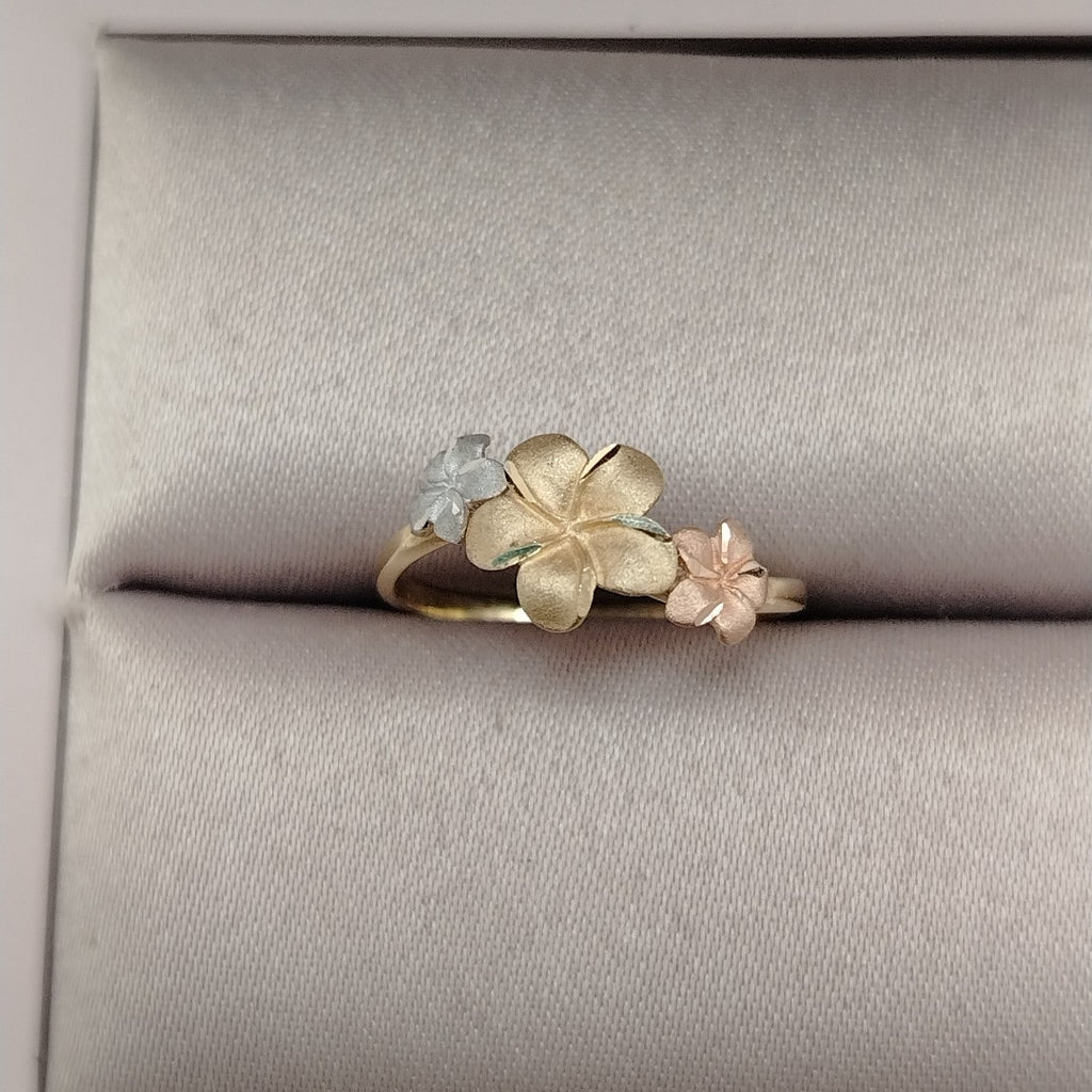 10134ANI01370B219 FRD15 ANILLOS DAMA ORO 14K 1.7GRS (NUEVO)