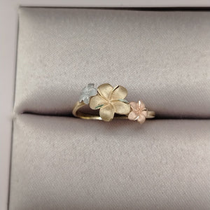 10134ANI01370B219 FRD15 ANILLOS DAMA ORO 14K 1.7GRS (NUEVO)