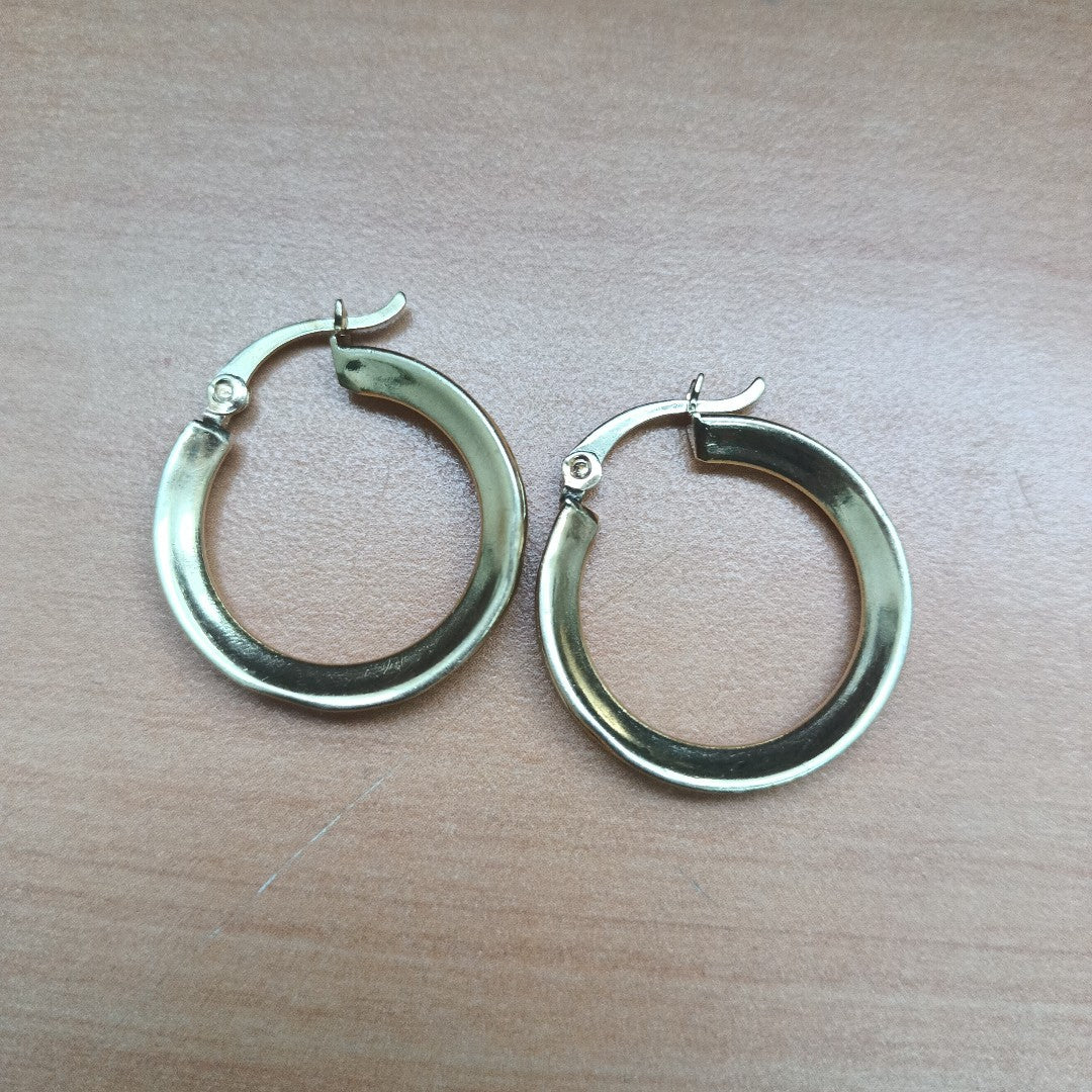 ARETES PAR. ORO. 10 K 5.3 GRMS (SEMINUEVO)
