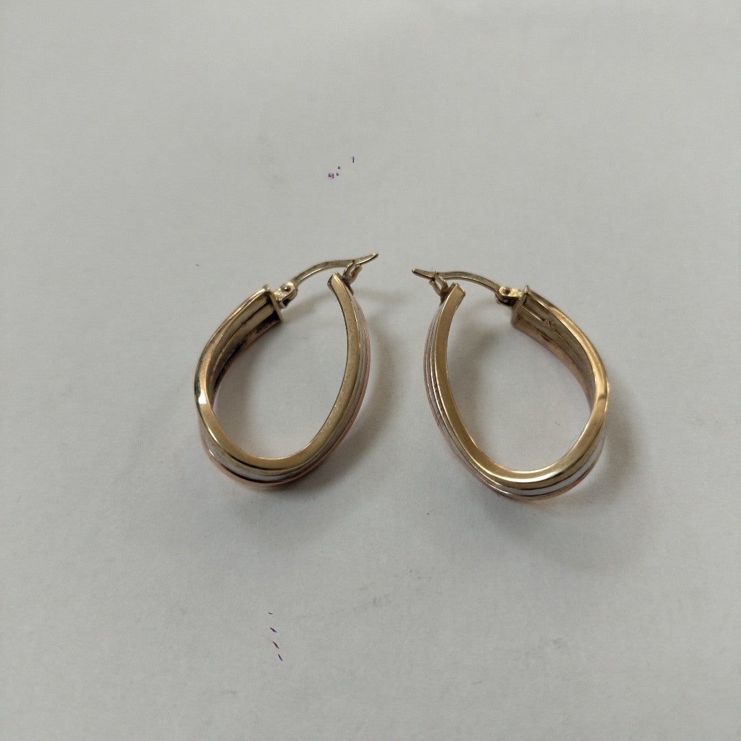 ARETES PAR. ORO. 10 K 3.1 GRMS (SEMINUEVO)