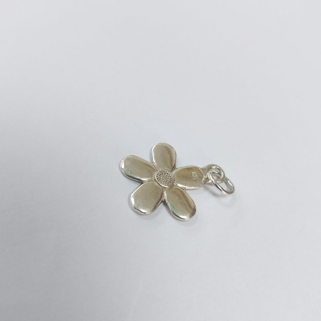 DIJE PLATA 5,30 GRMS (SEMINUEVO)