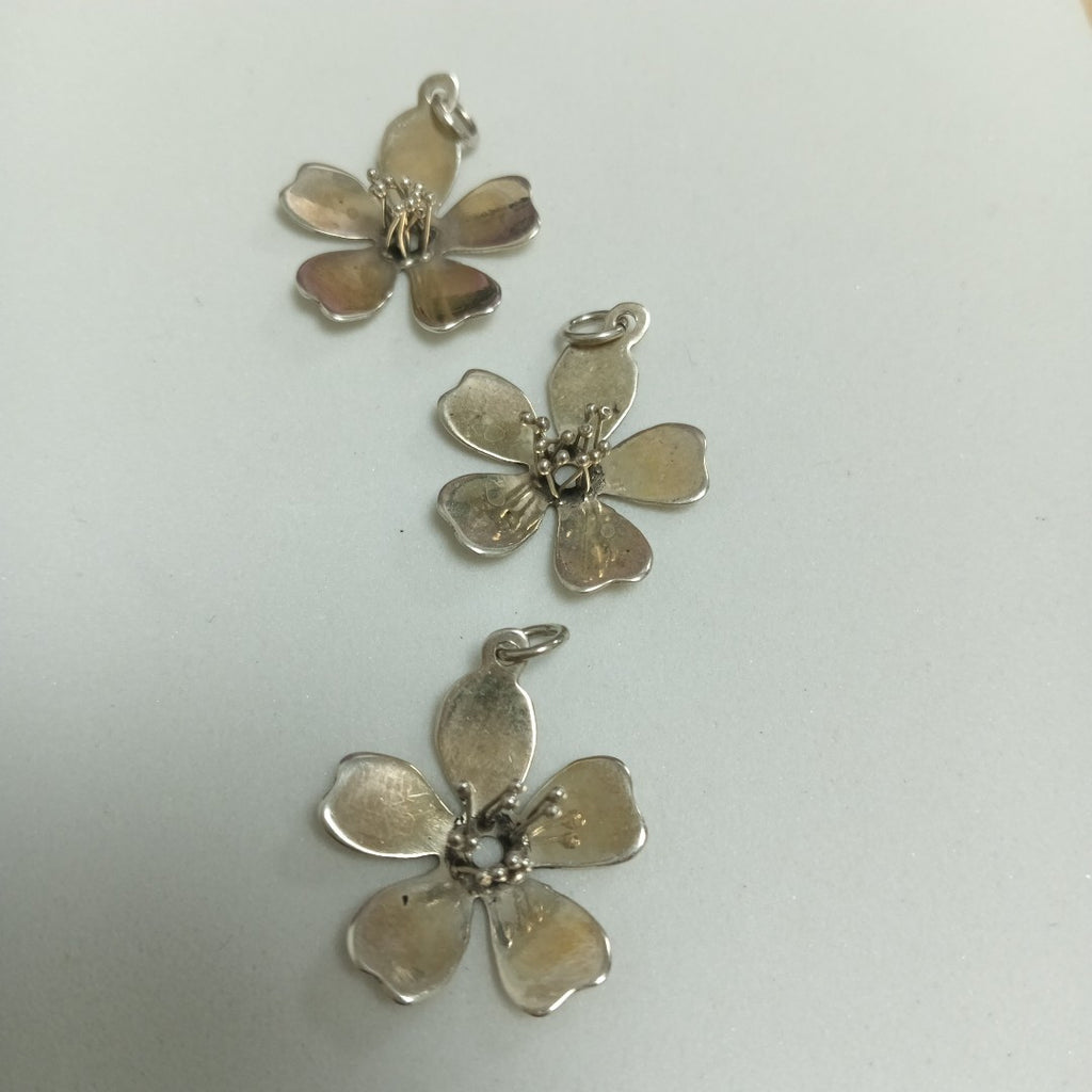 DIJE PLATA 4 GRMS (SEMINUEVO)