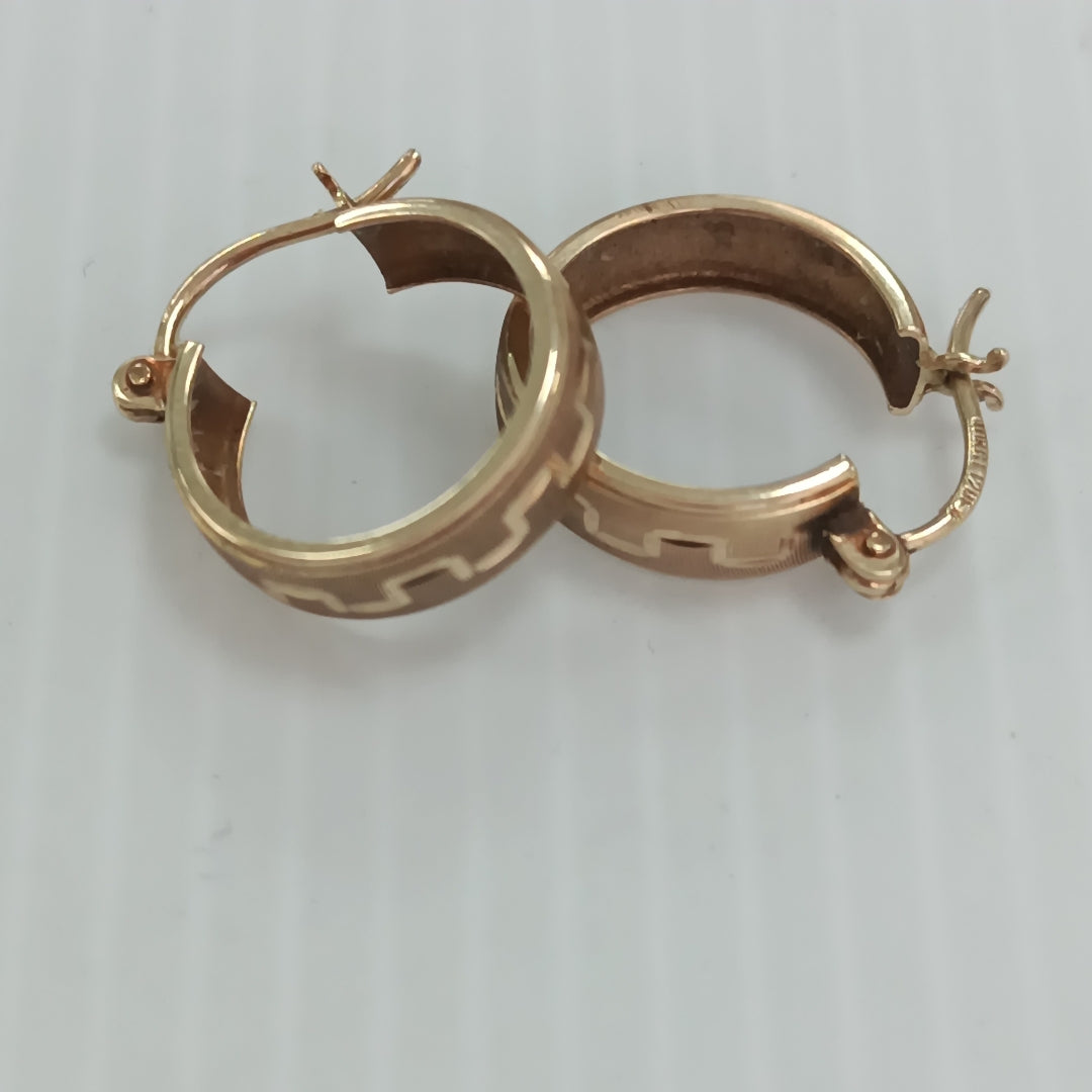 ARRACADAS PAR ORO 10 K 1.7 GRMS (SEMINUEVO)