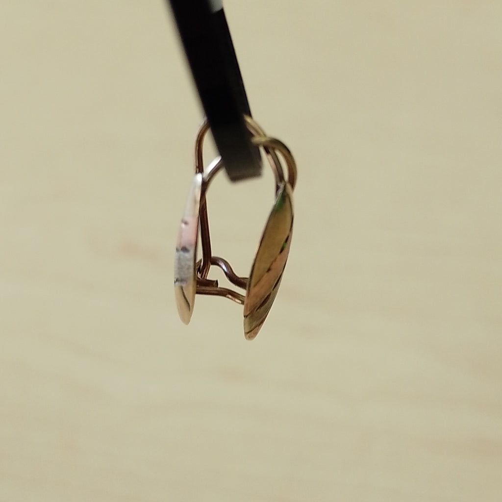 K1 0,90 GRMS 10 K ESPECIFICACIONES COMPLEMENTARIAS ARETES PAR , BUEN ESTADO (SEMINUEVO)