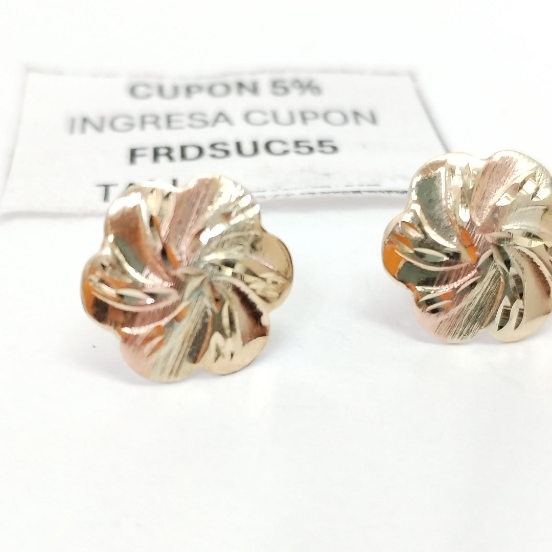 BROQUELES PAR ORO, ORO COMBINADO 10 K 1.3 GRMS (SEMINUEVO)