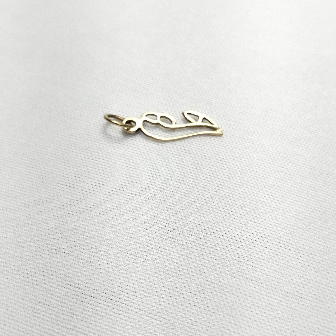 DIJE ORO 10 K 0.5 GRMS (SEMINUEVO)