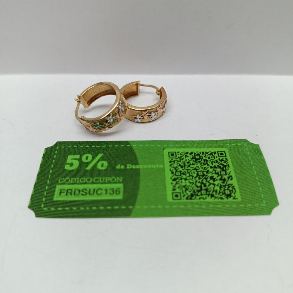 ARRACADAS PAR ORO,ORO COMBINADO 14 K 3,40 GRMS (SEMINUEVO)