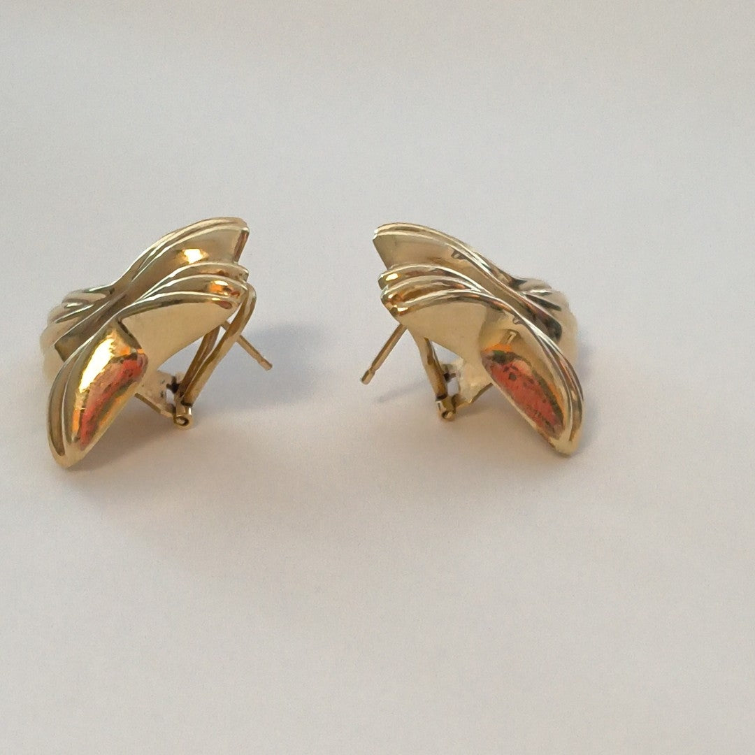 ARETES PAR ORO 14 K 11.5 GRMS (SEMINUEVO)