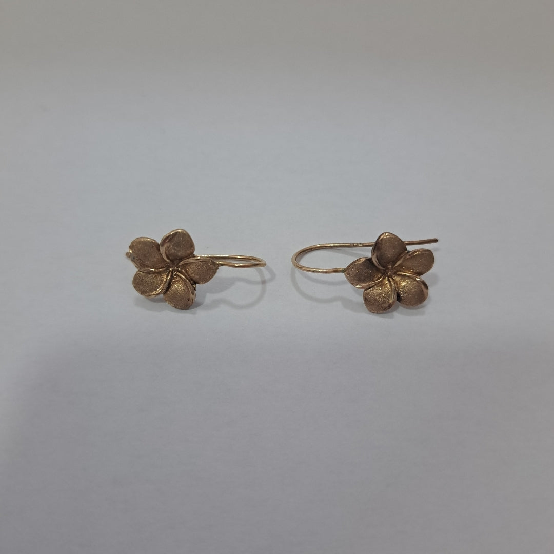 ARETES PAR ORO 10 K 2.1 GRMS (SEMINUEVO)