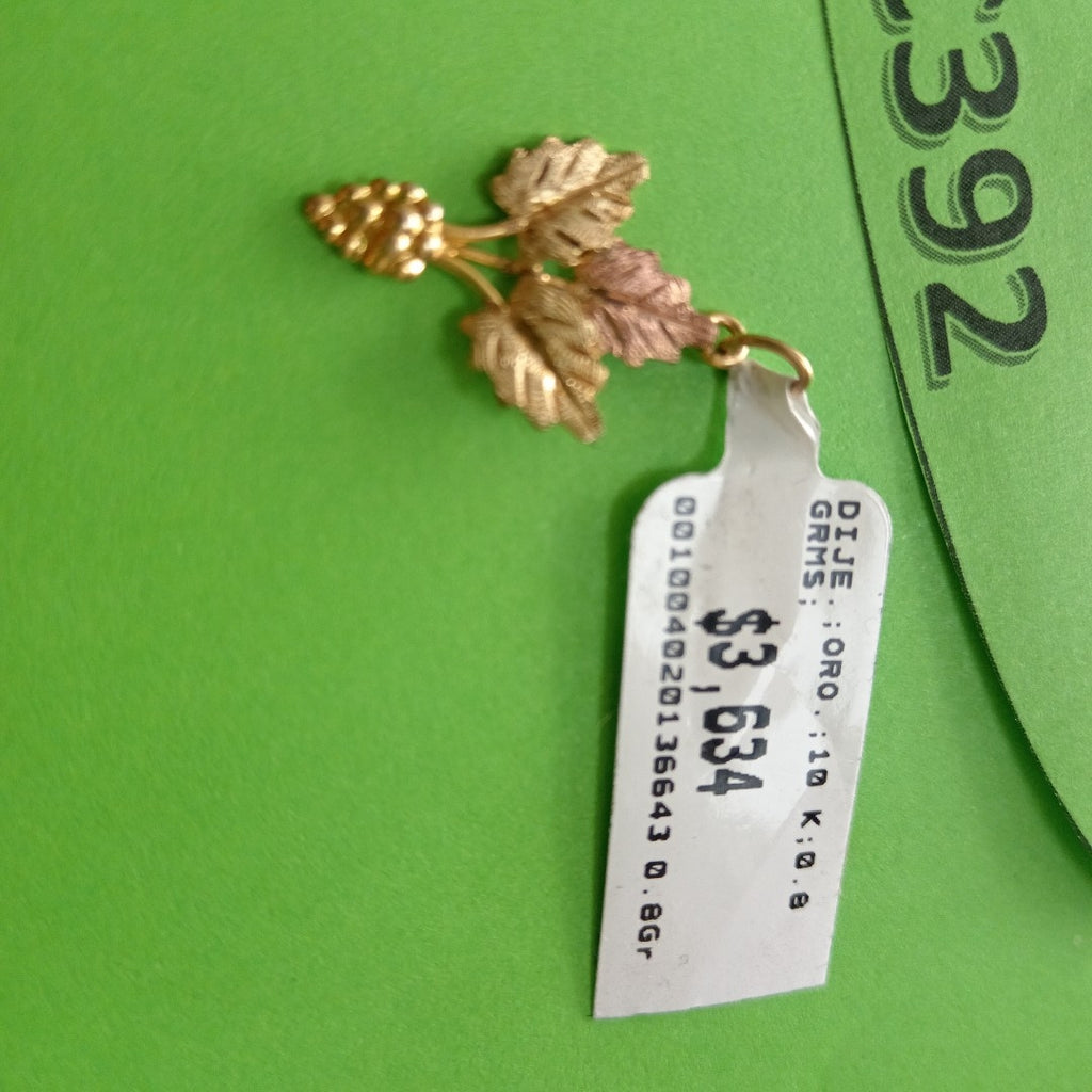 DIJE ORO 10 K 0.8 GRMS (SEMINUEVO)