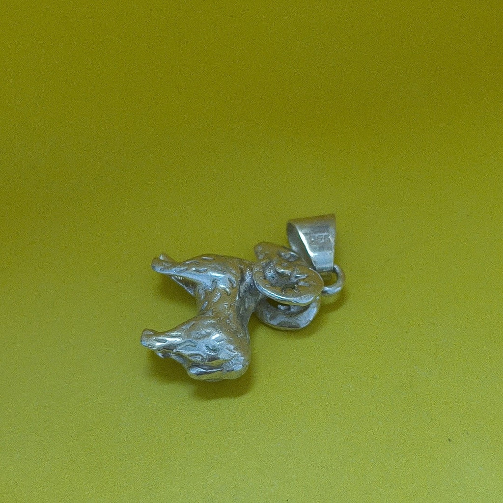 DIJE PLATA 7,20 GRMS (SEMINUEVO)