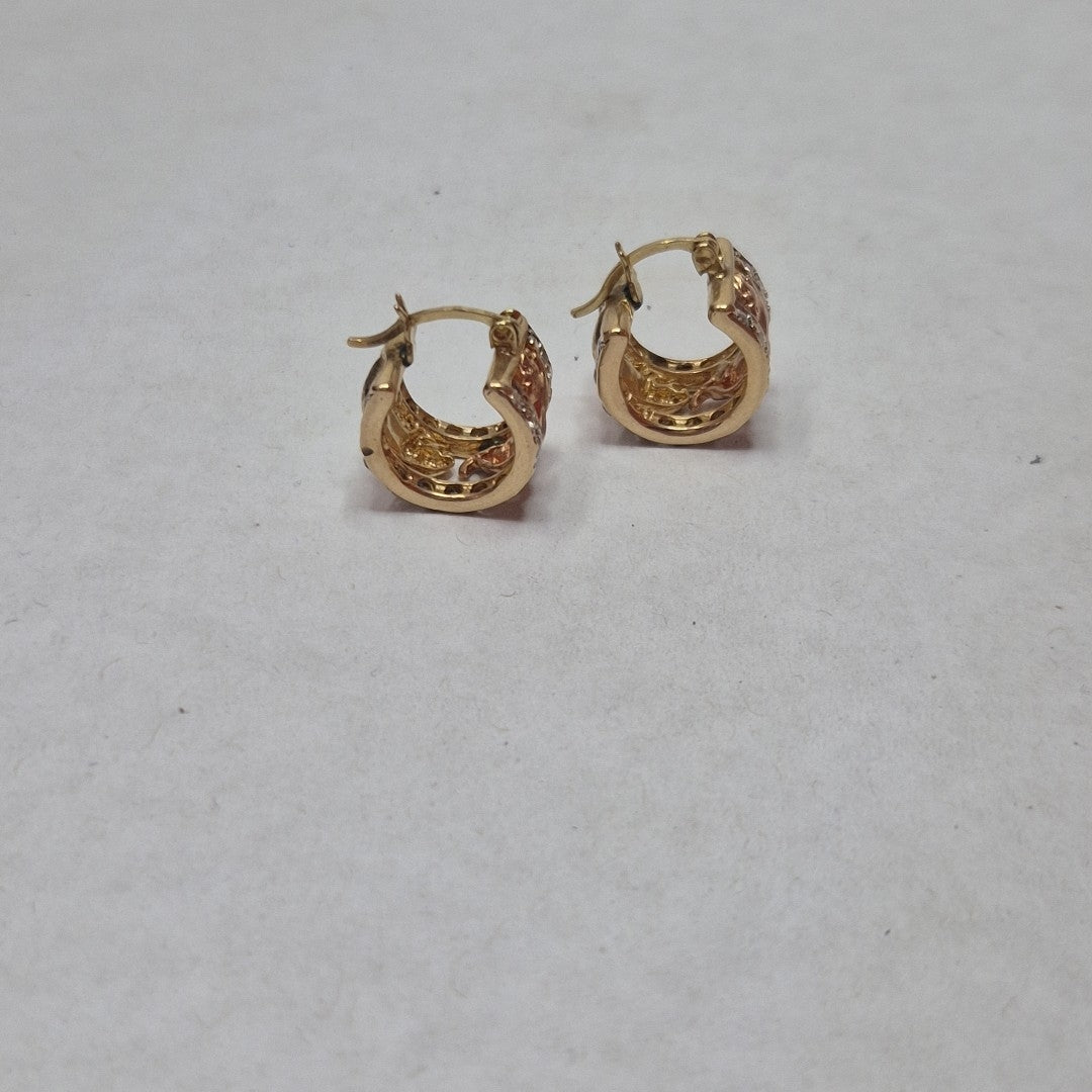 ARETES PAR ORO 10 K 7,90 GRMS (SEMINUEVO)