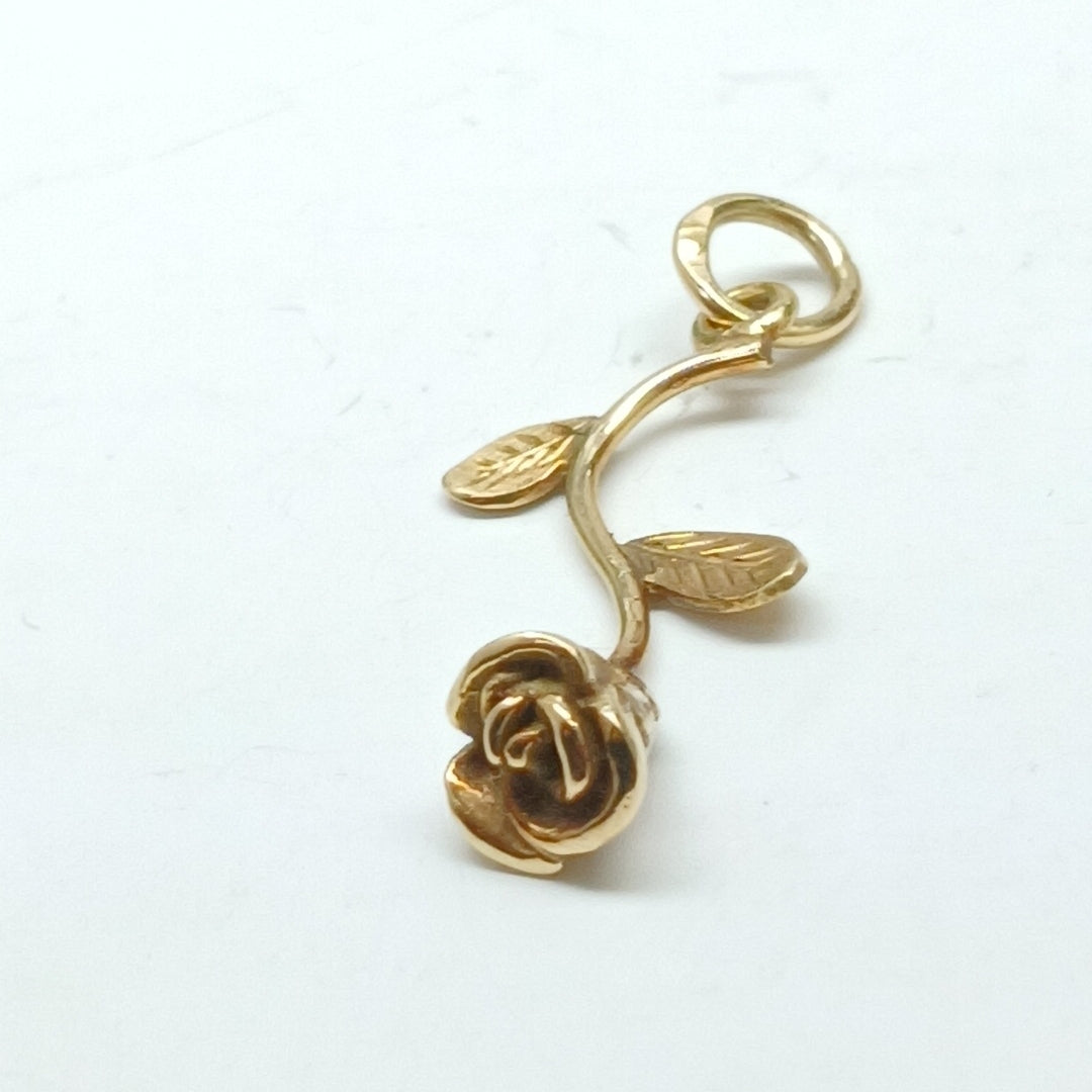 DIJE ORO 14 K 1.5 GRMS (SEMINUEVO)