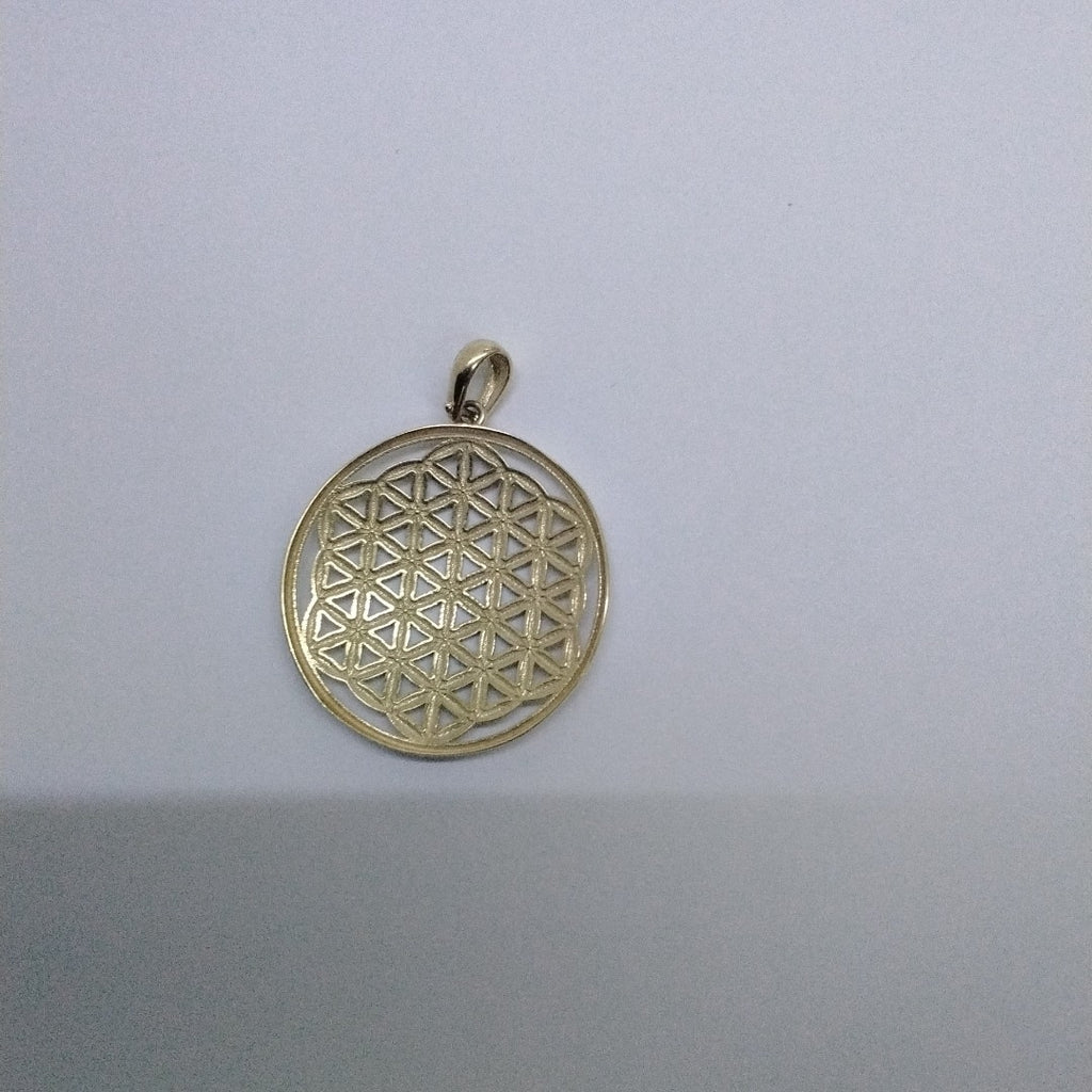 DIJES ORO 14K 2.1 (NUEVO)