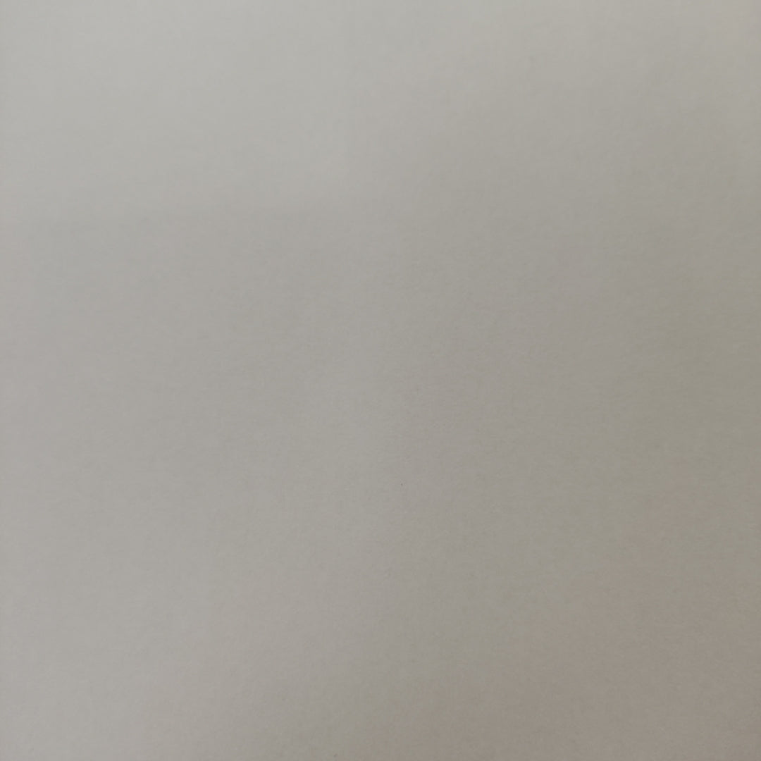 CELULAR XIAOMI MI 11 M2011K2G 256 GB 8 GB RAM