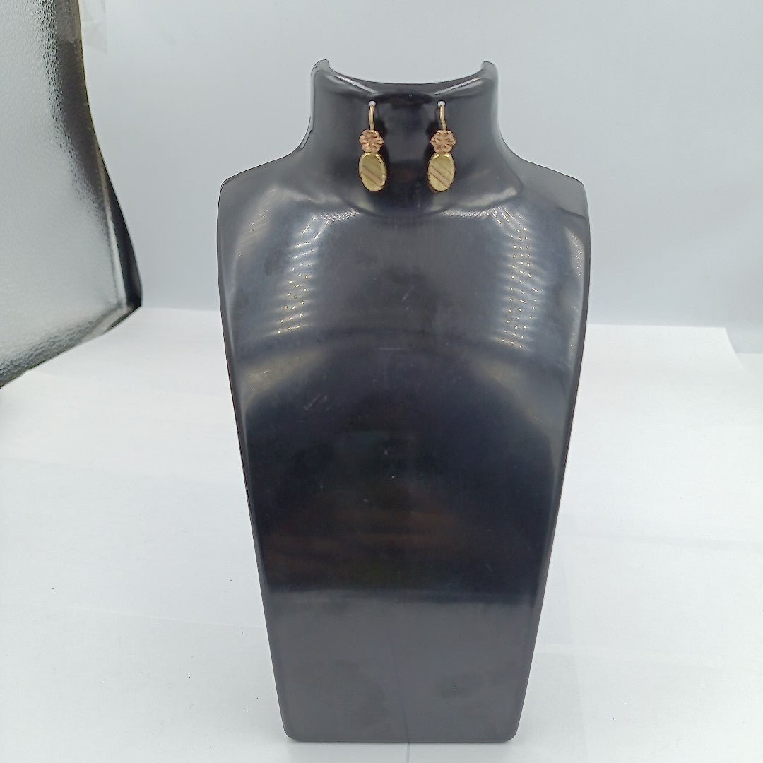 ARETES PAR ORO 10 K 1.3 GRMS (SEMINUEVO)