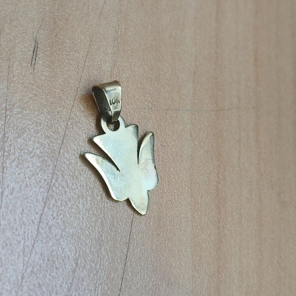 DIJE ORO 10 K 0.9 GRMS (SEMINUEVO)