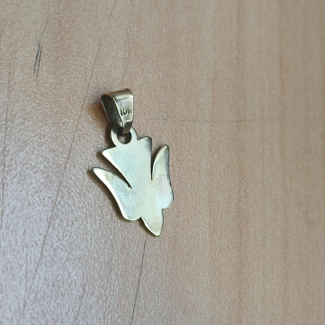 DIJE ORO 10 K 0.9 GRMS (SEMINUEVO)