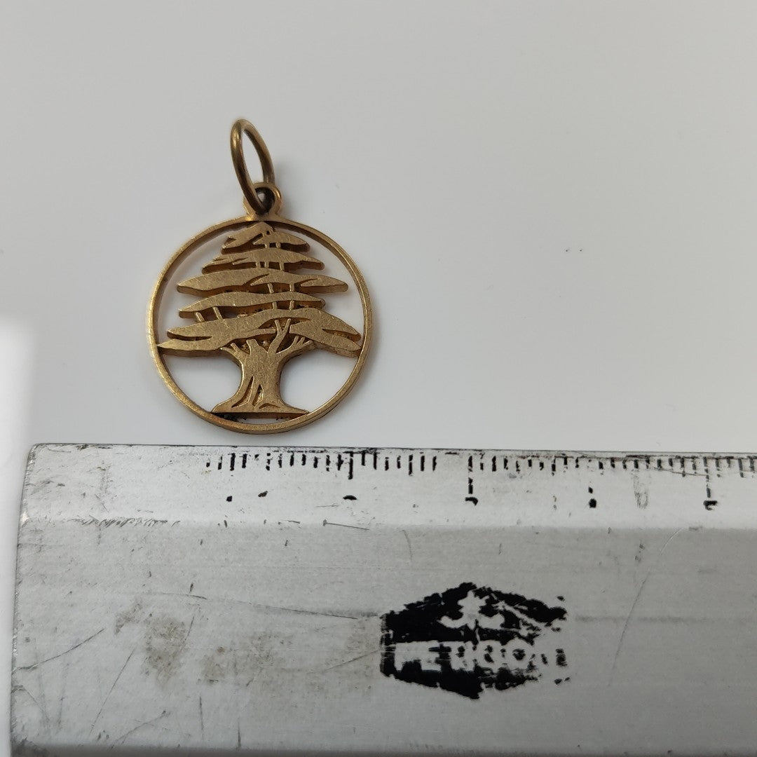 DIJE ORO 10 K 3.6 GRMS (SEMINUEVO)