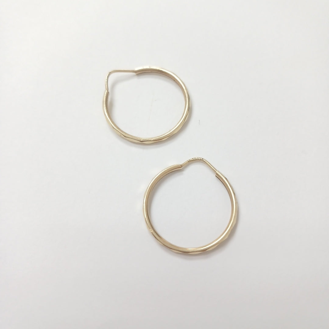 ARRACADAS PAR ORO 10 K 1.2 GRMS (SEMINUEVO)