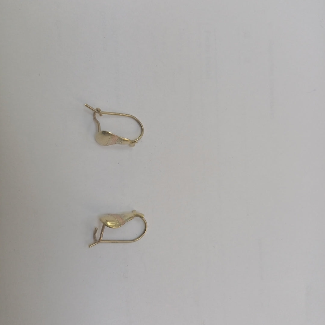 ARETES PAR ORO 10 K 0.8 GRMS (SEMINUEVO)