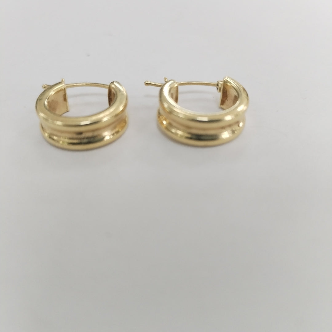 ARRACADAS PAR ORO 14 K 2.3 GRMS (SEMINUEVO)