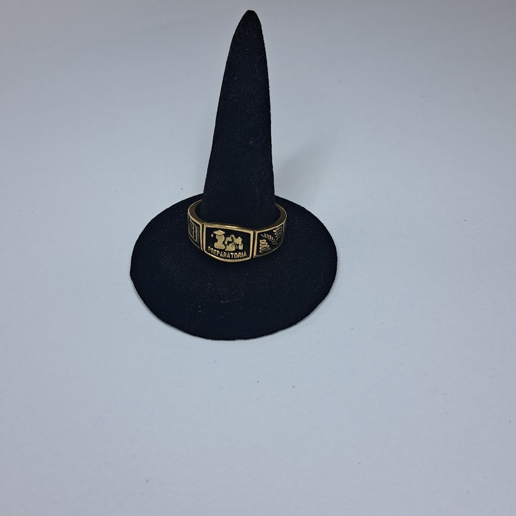 ANILLO ORO 10 K 6 GRMS (SEMINUEVO)