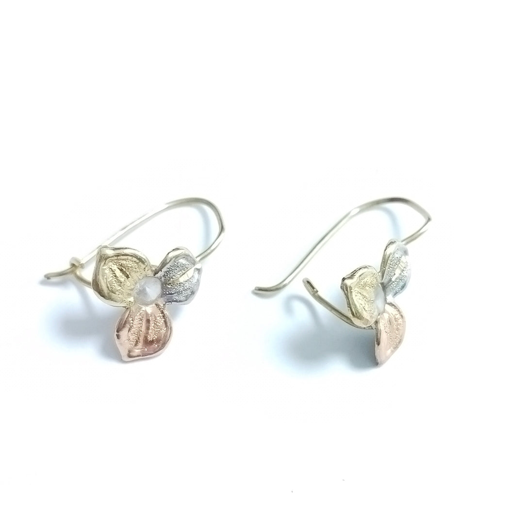 ARETES PAR ORO 10 K 1,20 GRMS (SEMINUEVO)