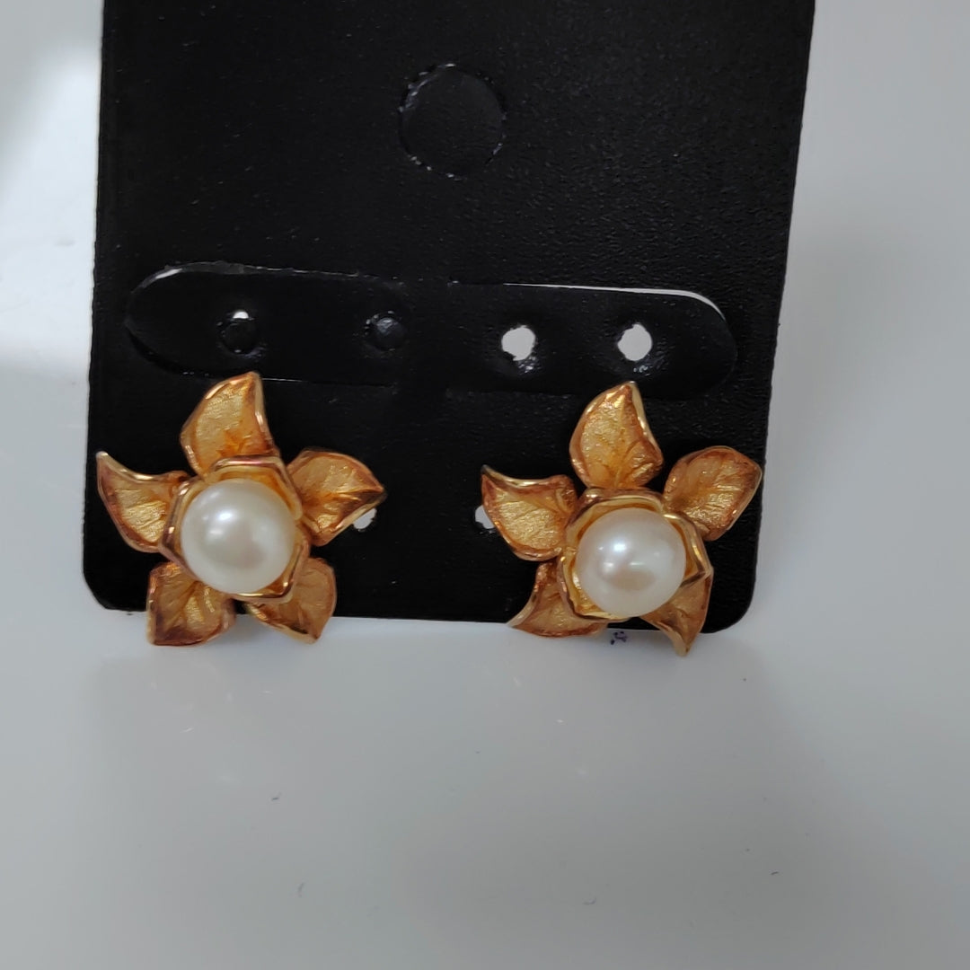 ARETES PAR ORO 14 K 5.6 GRMS (SEMINUEVO)