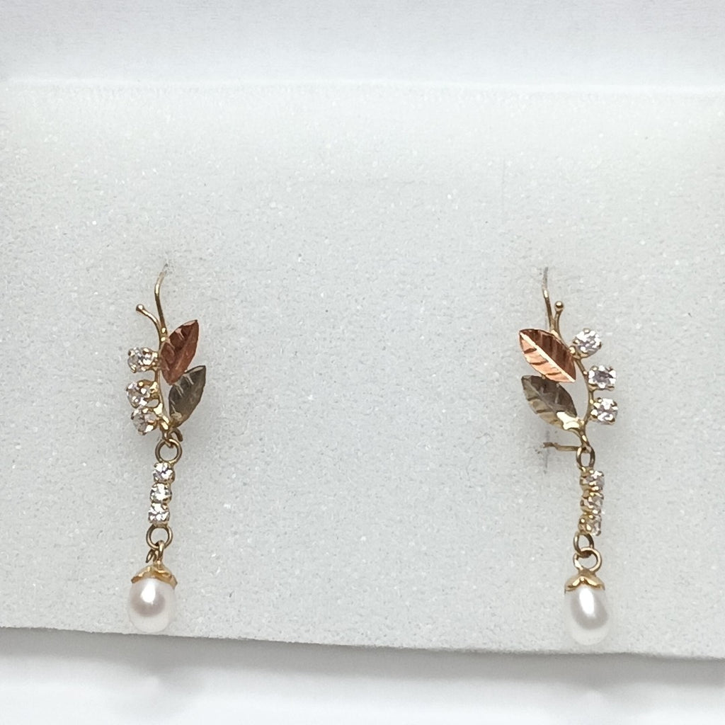 ARETES PAR ORO 10 K 1.9 GRMS (SEMINUEVO)