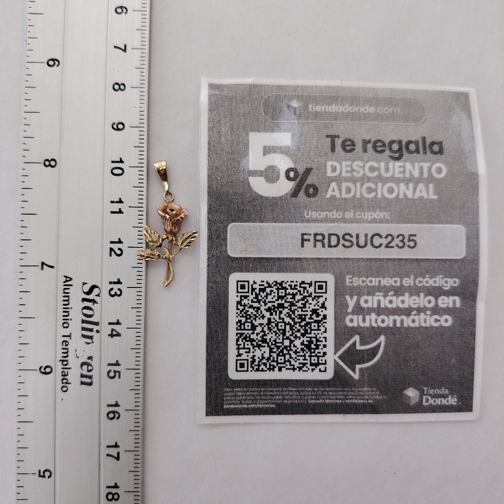 DIJE ORO, ORO COMBINADO 10 K 1.5 GRMS (SEMINUEVO)