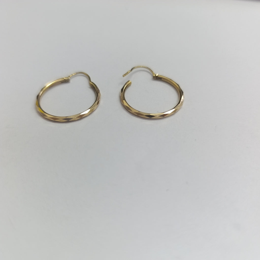 ARRACADAS PAR ORO 10 K 1.8 GRMS (SEMINUEVO)