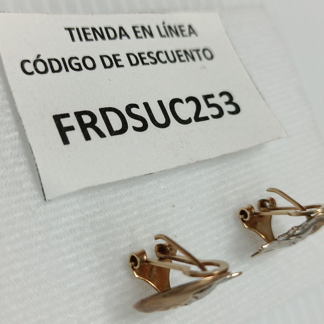 ARETES PAR ORO 10 K 2.6 GRMS (SEMINUEVO)