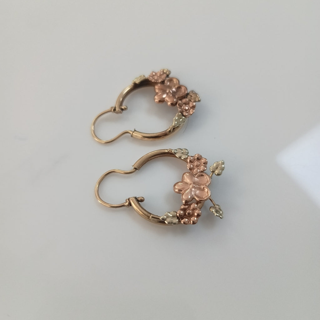 ARETES PAR ORO 10 K 4.6 GRMS (SEMINUEVO)
