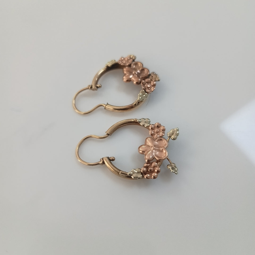 ARETES PAR ORO 10 K 4.6 GRMS (SEMINUEVO)