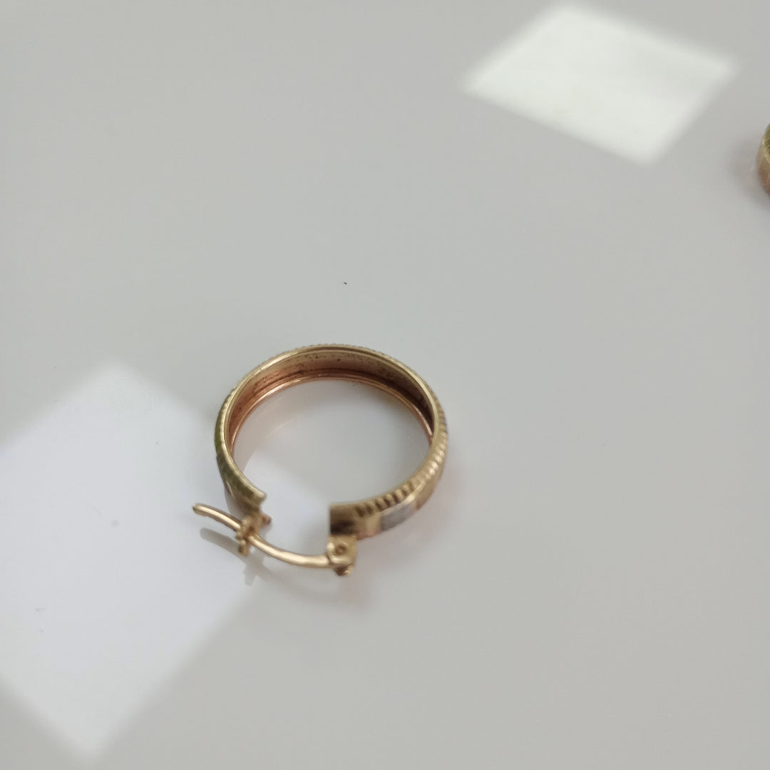 ARETES PAR ORO 10 K 2.4 GRMS (SEMINUEVO)