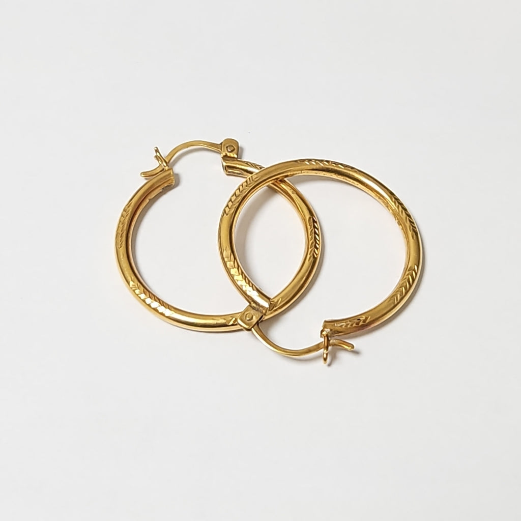 ARETES PAR ORO 10 K 4,50 GRMS (SEMINUEVO)