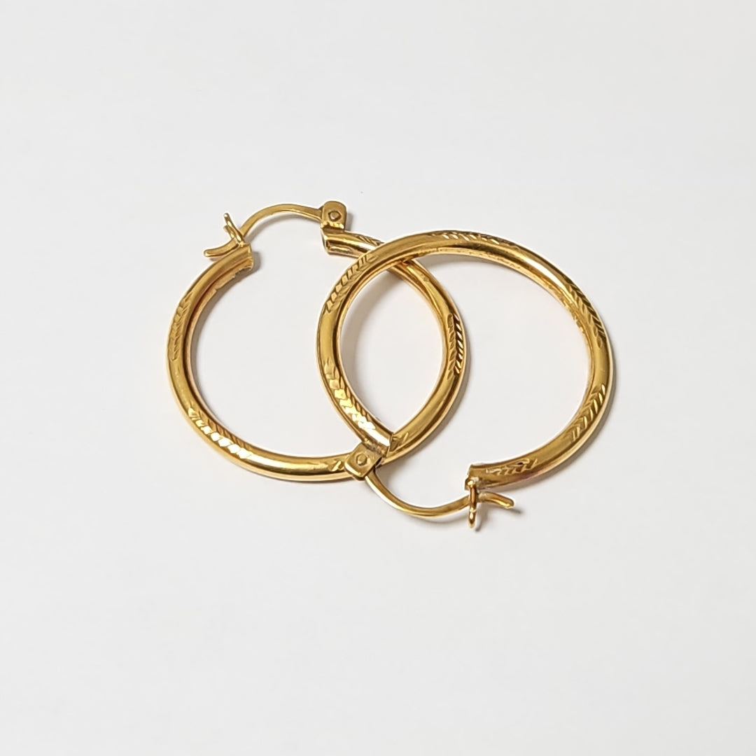ARETES PAR ORO 10 K 4,50 GRMS (SEMINUEVO)