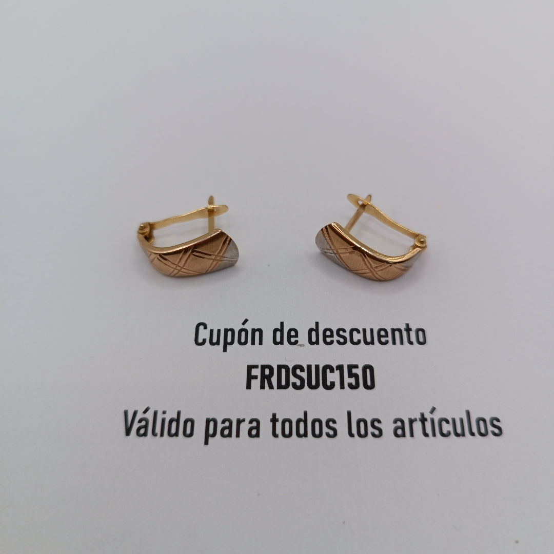 ARETES PAR ORO 10 K 1.7 GRMS (SEMINUEVO)
