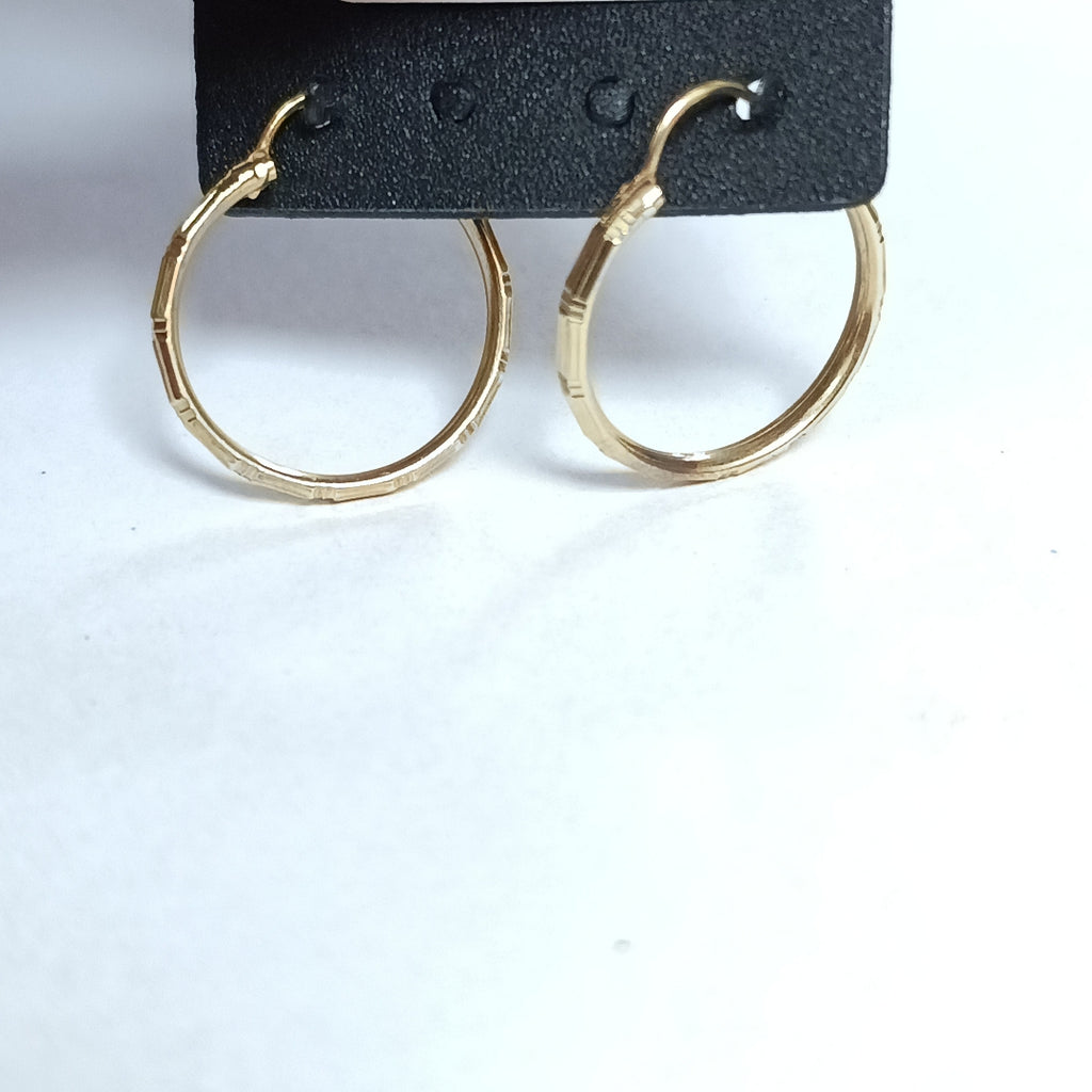 ARRACADAS PAR ORO 10 K 1,60 GRMS (SEMINUEVO)