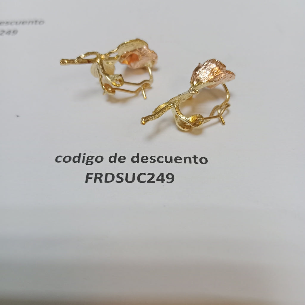 ARETES PAR ORO 10 K 4.9 GRMS (SEMINUEVO)