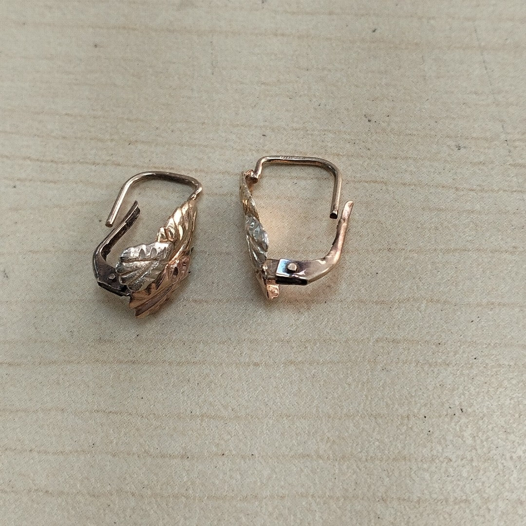 ARETES PAR ORO 10 K 0.8 GRMS (SEMINUEVO)