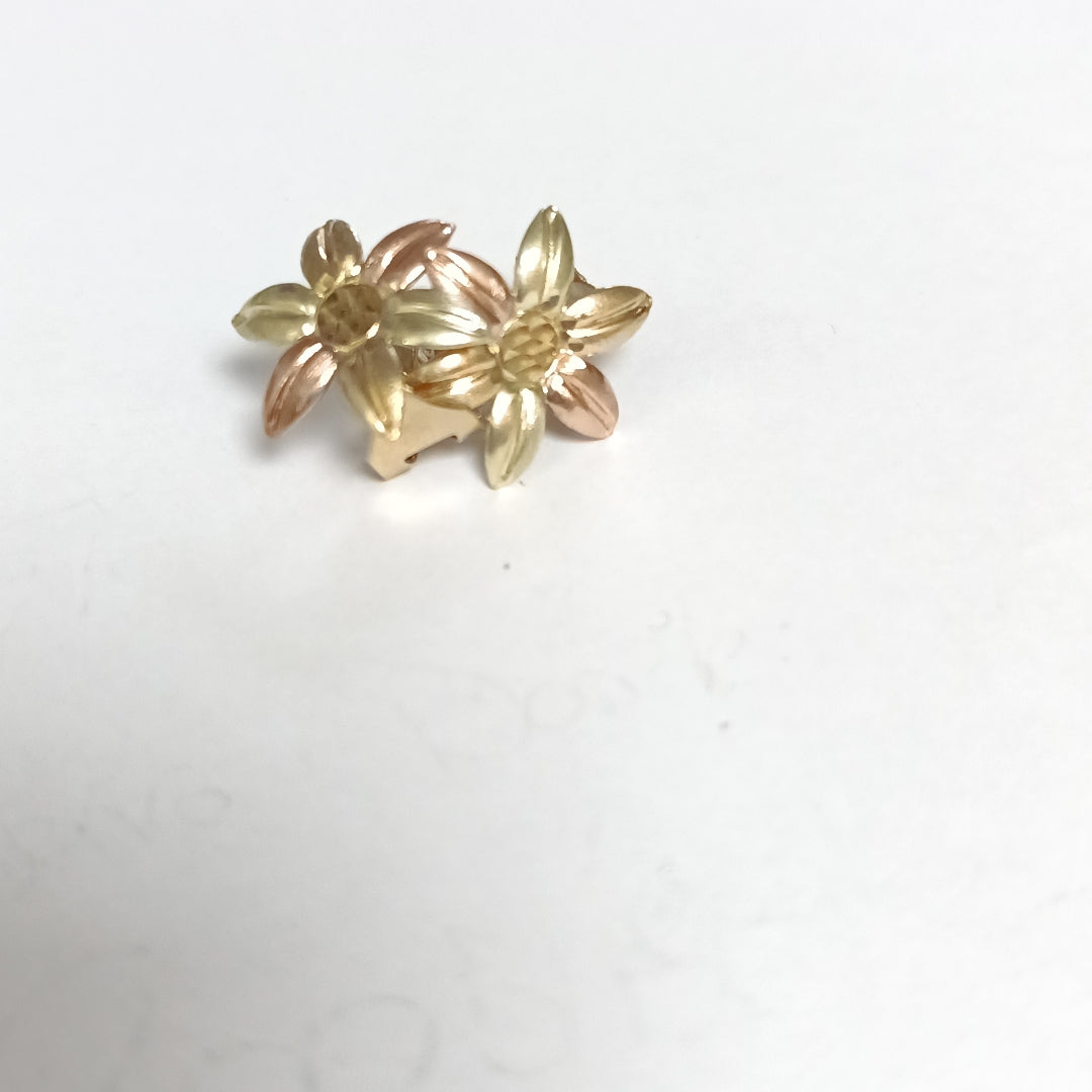 ARETES PAR ORO 10 K 2.7 GRMS (SEMINUEVO)