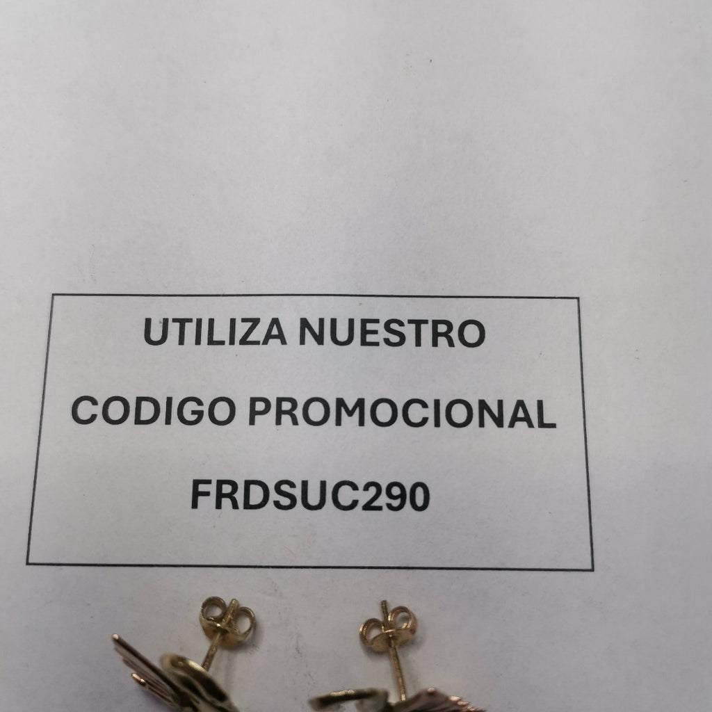 BROQUELES PAR ORO COMBINADO 10 K 1.7 GRMS (SEMINUEVO)